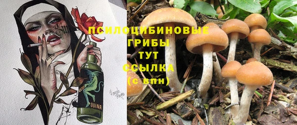мдпв Армянск