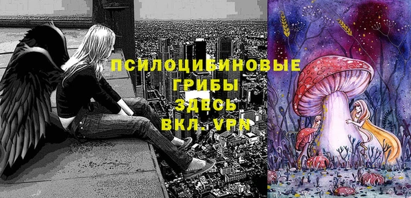 мдпв Армянск