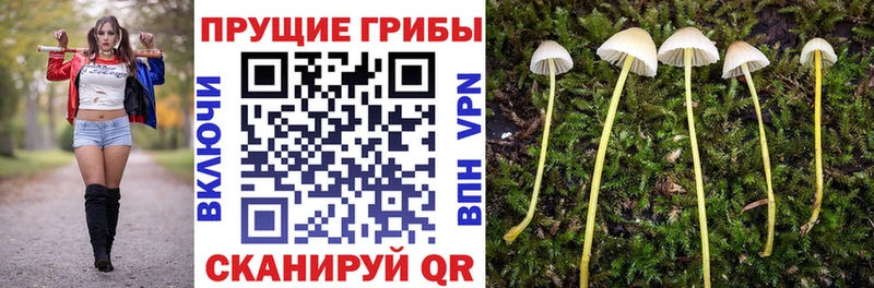 Галлюциногенные грибы прущие грибы  как найти закладки  Ханты-Мансийск 